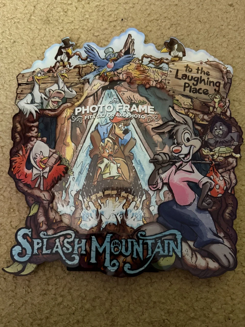 Disney Splash Mountain Picture Frame